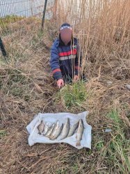 Браконьеры с сетями попались на Дону: ущерб превысил 60 тысяч рублей Браконьеры с сетями попались на Дону: ущерб превысил 60 тысяч рублей