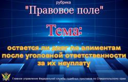 Эксперт разъяснил: даже тюрьма не списывает долги по алиментам Эксперт разъяснил: даже тюрьма не списывает долги по алиментам