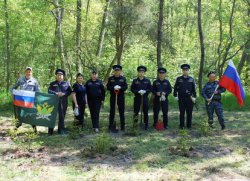 Аллея калининградских приставов в честь 160-летия службы Аллея калининградских приставов в честь 160-летия службы
