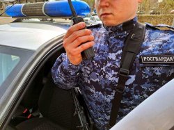 Подмосковные росгвардейцы по приметам задержали рецидивиста, совершившего грабёж Подмосковные росгвардейцы по приметам задержали рецидивиста, совершившего грабёж