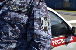 Ярославские росгвардейцы за прошедшую неделю совершили более 300 выездов по сигналам «тревога» Ярославские росгвардейцы за прошедшую неделю совершили более 300 выездов по сигналам «тревога»