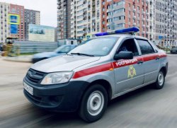 Подмосковные росгвардейцы задержали подозреваемого в краже Подмосковные росгвардейцы задержали подозреваемого в краже