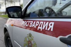 Ярославские росгвардейцы пресекли 20 административных правонарушений за прошедшую неделю Ярославские росгвардейцы пресекли 20 административных правонарушений за прошедшую неделю