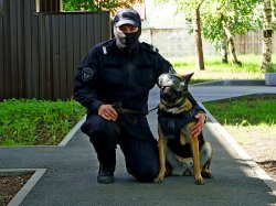 Новгородские кинологи из Росгвардии показали детям общий курс дрессировки служебной собаки Ланды Новгородские кинологи из Росгвардии показали детям общий курс дрессировки служебной собаки Ланды