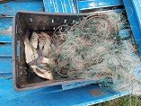 В Сызрани транспортные полицейские выявили факт браконьерств В Сызрани транспортные полицейские выявили факт браконьерств