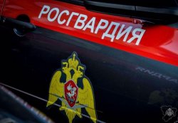 При содейсвии Росгвардии прошел профилактический рейд по увеселительным При содейсвии Росгвардии прошел профилактический рейд по увеселительным