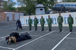 Школьники из северного поселка Тура ознакомились с работой Управления по конвоированию красноярского ГУФСИН Школьники из северного поселка Тура ознакомились с работой Управления по конвоированию красноярского ГУФСИН