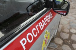 24 правонарушения пресекли на территории Вологодской области сотрудники вневедомственной охраны Росгвардии за минувшую неделю 24 правонарушения пресекли на территории Вологодской области сотрудники вневедомственной охраны Росгвардии за минувшую неделю