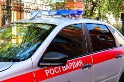 Сотрудники Росгвардии задержали гражданина, находящегося в федеральном розыске Сотрудники Росгвардии задержали гражданина, находящегося в федеральном розыске