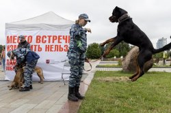 Музей Победы пригласил провести «Один день с полицией России» в парке Музей Победы пригласил провести «Один день с полицией России» в парке