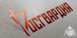 Сотрудники Росгвардии задержали ранее судимого гражданина, подозреваемого в краже товара из гипермаркета в Иванове Сотрудники Росгвардии задержали ранее судимого гражданина, подозреваемого в краже товара из гипермаркета в Иванове