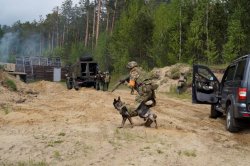 Масштабные учения провела Росгвардия в Томской области Масштабные учения провела Росгвардия в Томской области