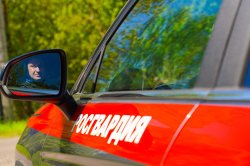Московские росгвардейцы задержали женщину, находящуюся в федеральном розыске Московские росгвардейцы задержали женщину, находящуюся в федеральном розыске