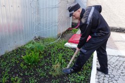 Всемирный день окружающей среды отметили в красноярской колонии строгого режима №6 Всемирный день окружающей среды отметили в красноярской колонии строгого режима №6