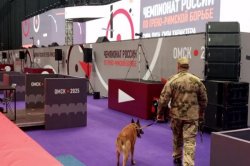 Росгвардия обеспечила правопорядок во время проведения чемпионата России по греко-римской борьбе в Омске Росгвардия обеспечила правопорядок во время проведения чемпионата России по греко-римской борьбе в Омске