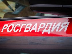 19 правонарушителей на территории Вологодской области задержали сотрудники вневедомственной охраны Росгвардии за минувшую неделю 19 правонарушителей на территории Вологодской области задержали сотрудники вневедомственной охраны Росгвардии за минувшую неделю