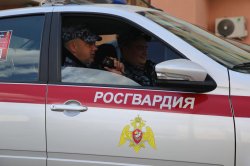 В Мордовии росгвардейцы задержали нарушителя правопорядка В Мордовии росгвардейцы задержали нарушителя правопорядка