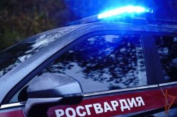 Московские росгвардейцы задержали мужчину, находившегося в федеральном розыске Московские росгвардейцы задержали мужчину, находившегося в федеральном розыске