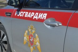 В Петрозаводске экипаж Росгвардии задержал гражданина, совершившего кражу в магазине спортивных товаров В Петрозаводске экипаж Росгвардии задержал гражданина, совершившего кражу в магазине спортивных товаров