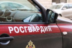 В Иванове росгвардейцы задержали подозреваемого в краже из гипермаркета В Иванове росгвардейцы задержали подозреваемого в краже из гипермаркета