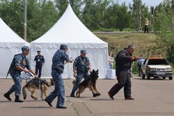 Сотрудники уголовно-исполнительной системы приняли участие в патриотическом фестивале «Служу России!» Сотрудники уголовно-исполнительной системы приняли участие в патриотическом фестивале «Служу России!»