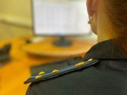 В Инте устроители собачьего приюта вернули в бюджет присвоенную субсидию В Инте устроители собачьего приюта вернули в бюджет присвоенную субсидию