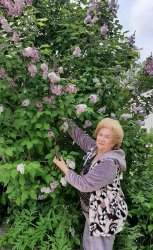 Эхо Маргариты