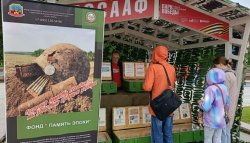 Военные артефакты представили в «Парке Победы» Военные артефакты представили в «Парке Победы»