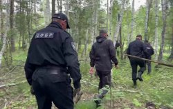Росгвардейцы помогли проверить тепличные хозяйства в Каслинском районе Росгвардейцы помогли проверить тепличные хозяйства в Каслинском районе