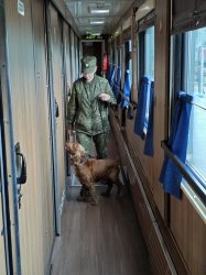 Кинологи Смоленской таможни и сотрудники полиции рассказали журналистам о своей работе Кинологи Смоленской таможни и сотрудники полиции рассказали журналистам о своей работе