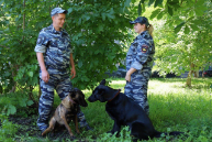 В Саратове в День семьи, любви и верности отметили сотрудников транспортной полиции – многодетных родителей В Саратове в День семьи, любви и верности отметили сотрудников транспортной полиции – многодетных родителей