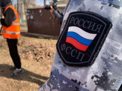 Должника по алиментам из Марий Эл привлекли к обязательным работам Должника по алиментам из Марий Эл привлекли к обязательным работам