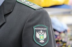 Управлением Россельхознадзора по Калининградской области подведены итоги деятельности в сфере ветеринарного надзора в 1 полугодии 2025 года Управлением Россельхознадзора по Калининградской области подведены итоги деятельности в сфере ветеринарного надзора в 1 полугодии 2025 года