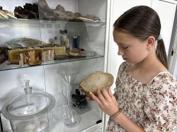 Детям о воспроизводстве лесов и их защите Детям о воспроизводстве лесов и их защите