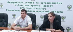 В Управлении Россельхознадзора состоялось заседание штаба по повышению эффективности муниципального земельного контроля В Управлении Россельхознадзора состоялось заседание штаба по повышению эффективности муниципального земельного контроля