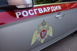 В Пскове росгвардейцы задержали подозреваемого в краже В Пскове росгвардейцы задержали подозреваемого в краже