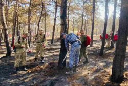В Крыму росгвардейцы принимают участие в тушении пожара В Крыму росгвардейцы принимают участие в тушении пожара