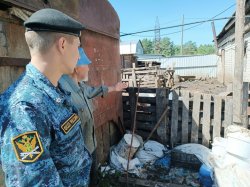 Под контролем судебных приставов ликвидирована незаконная свиноферма Под контролем судебных приставов ликвидирована незаконная свиноферма