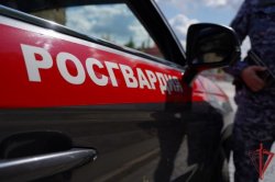 Столичные росгвардейцы задержали федерального преступника Столичные росгвардейцы задержали федерального преступника