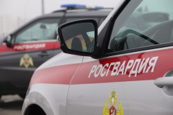 В Тольятти росгвардейцы задержали молодых людей, совершивших кражу на крупную сумму В Тольятти росгвардейцы задержали молодых людей, совершивших кражу на крупную сумму