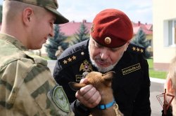 Генерал-полковник Алексей Воробьев посетил Кинологический центр Росгвардии Генерал-полковник Алексей Воробьев посетил Кинологический центр Росгвардии