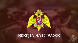 Росгвардейцы за неделю изъяли пять единиц зарегистрированного оружия Росгвардейцы за неделю изъяли пять единиц зарегистрированного оружия