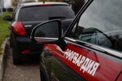 В Саранске сотрудники Росгвардии задержали нетрезвого ********* который закатил скандал в баре В Саранске сотрудники Росгвардии задержали нетрезвого ********* который закатил скандал в баре