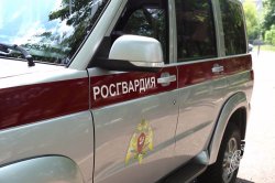 За неделю в Орле росгвардейцы совершили более 200 выездов на охраняемые объекты За неделю в Орле росгвардейцы совершили более 200 выездов на охраняемые объекты