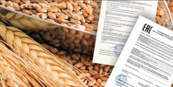 В Калининградской области Россельхознадзор признал недействительными декларации на 102 тысячи тонн зерна В Калининградской области Россельхознадзор признал недействительными декларации на 102 тысячи тонн зерна