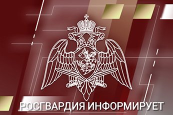 Ульяновцев приглашают узнать все о трудоустройстве в Росгвардию Ульяновцев приглашают узнать все о трудоустройстве в Росгвардию