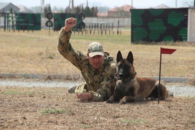 Соревнования по многоборью кинологов-росгвардейцев завершились в Грозном