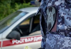 Находящегося в федеральном розыске мужчину задержали сотрудники Росгвардии в Томске Находящегося в федеральном розыске мужчину задержали сотрудники Росгвардии в Томске