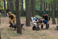 Музей Победы пригласил на военно-историческую реконструкцию Музей Победы пригласил на военно-историческую реконструкцию