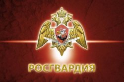 Росгвардия приглашает жителей Марий Эл узнать о службе в ведомстве Росгвардия приглашает жителей Марий Эл узнать о службе в ведомстве